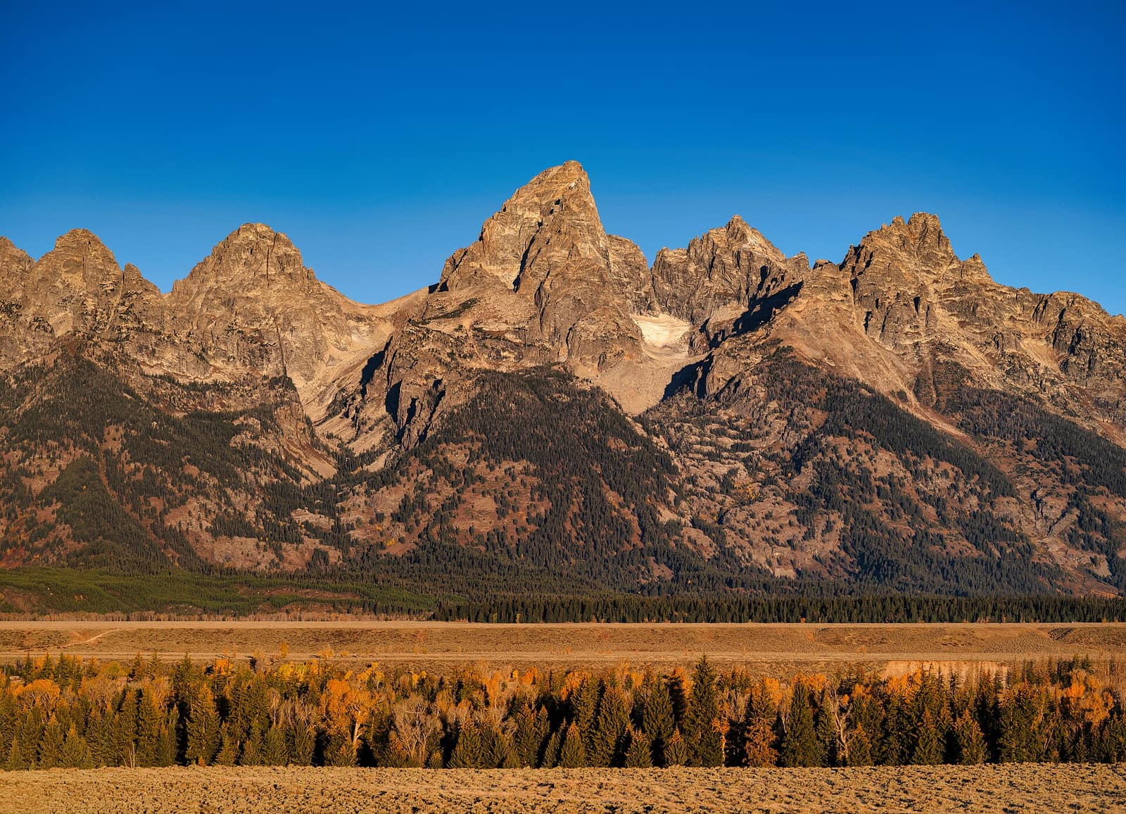 The Grand Teton peaks rising above autumn-gold aspens and cottonwoods in Jackson Hole, Wyoming