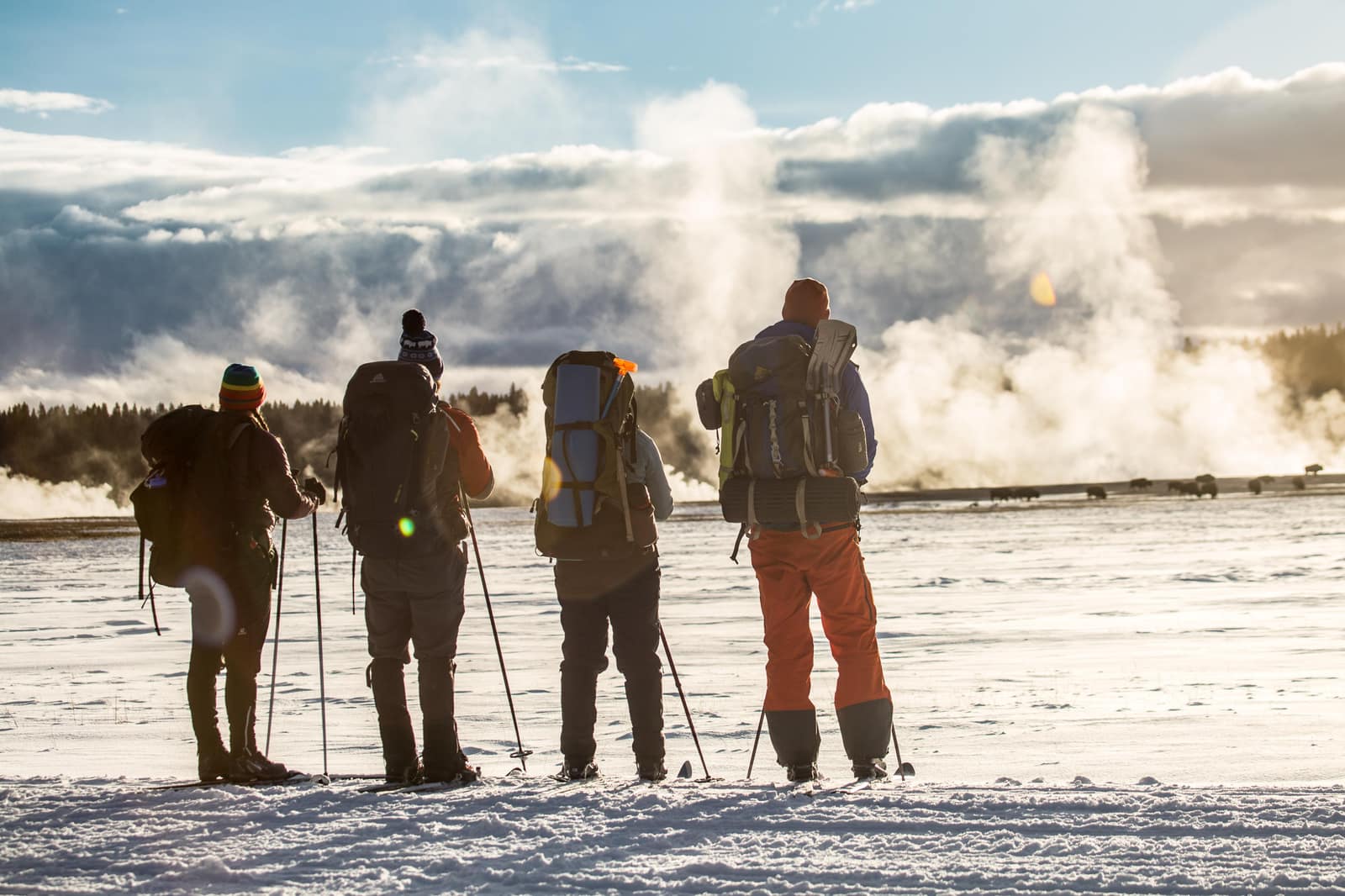 Skiers on snowshoes watch bison amid geothermal steam in Yellowstone National Park, Wyoming, in winter