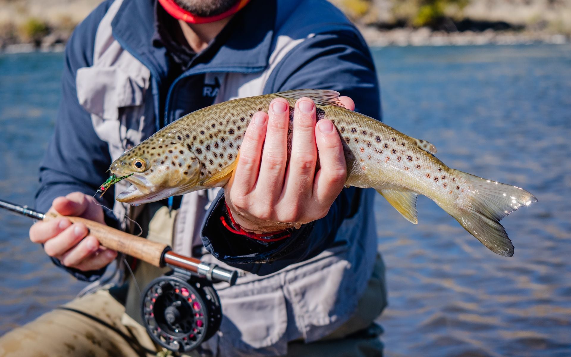 Best Fly Fishing Rivers in Wyoming in Wyoming