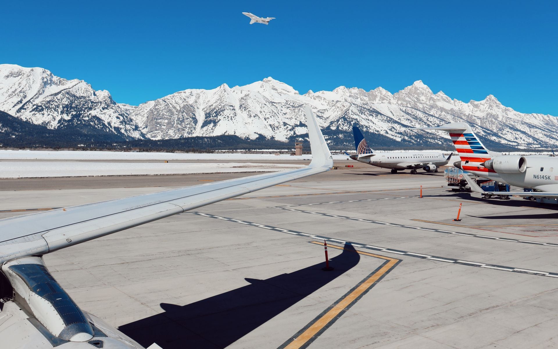 Tour Operators and Guides in Wyoming