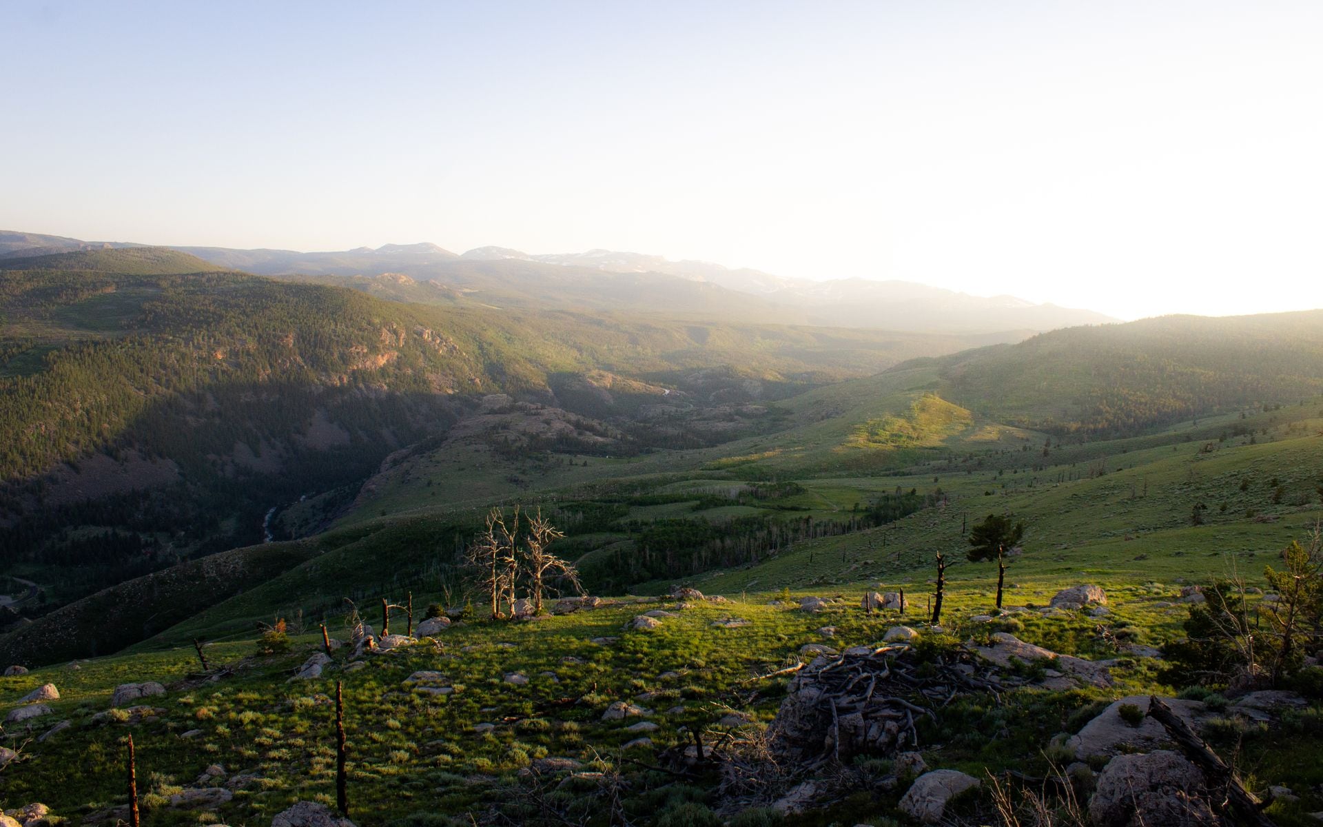 Wyoming Travel Guide in Wyoming