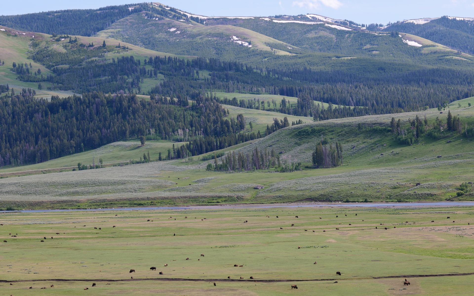 7 Days in Wyoming in Wyoming