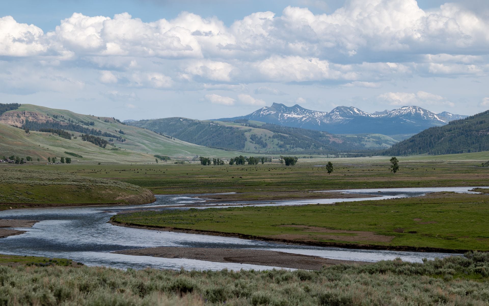 Yellowstone and Grand Teton Road Trip in Wyoming