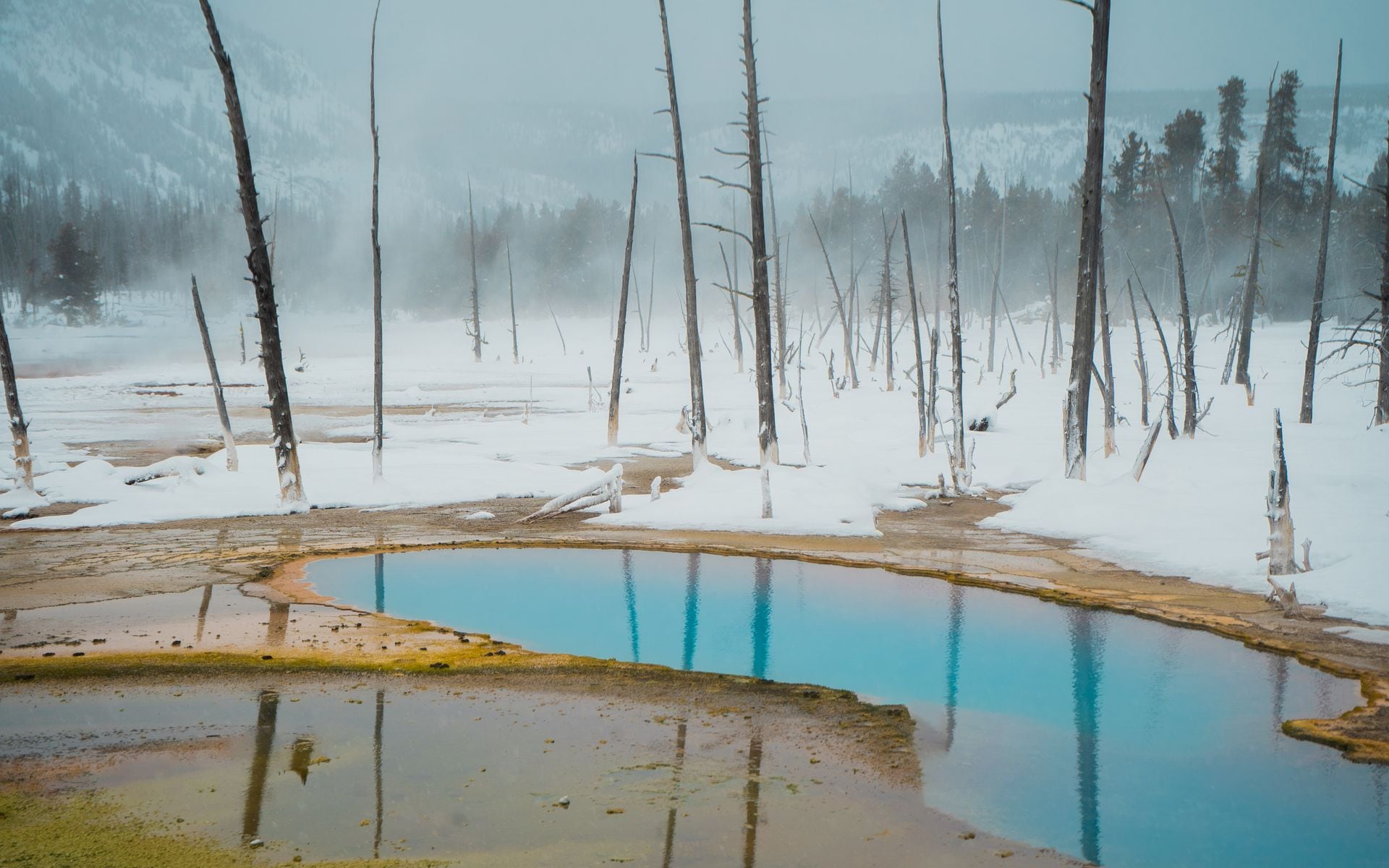 Yellowstone National Park in Wyoming
