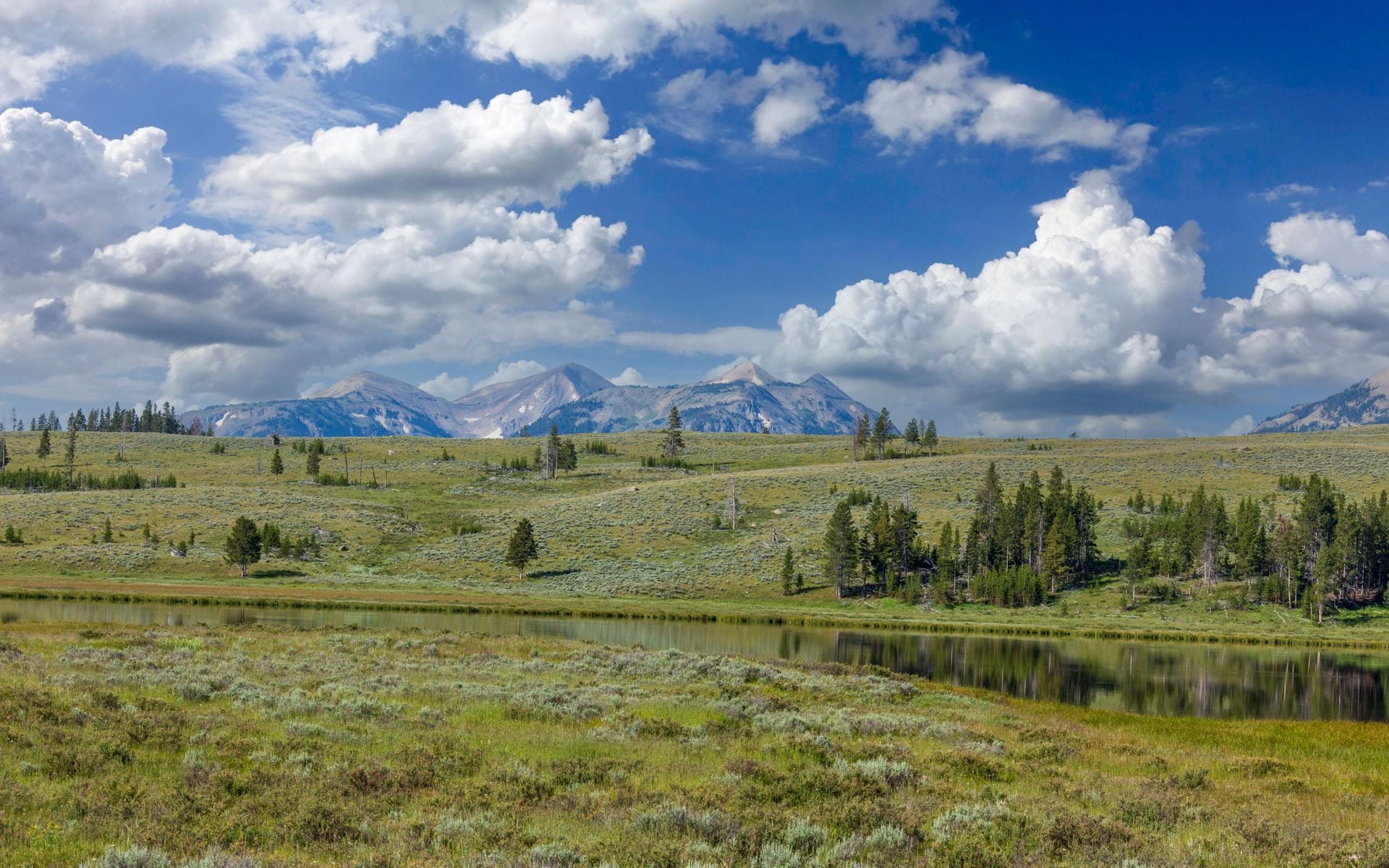 Best Time to Visit Wyoming in Wyoming