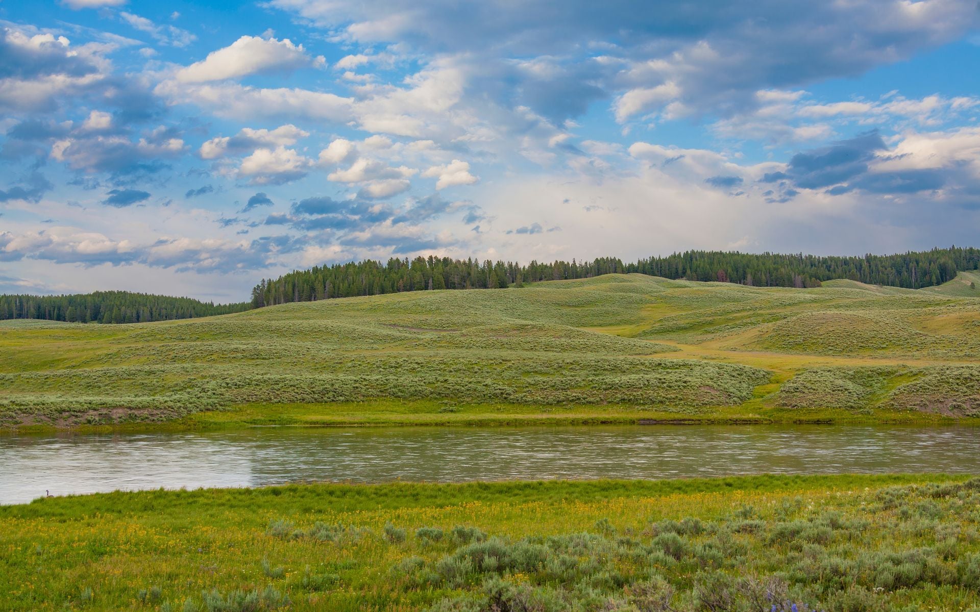 Getting Around Wyoming in Wyoming