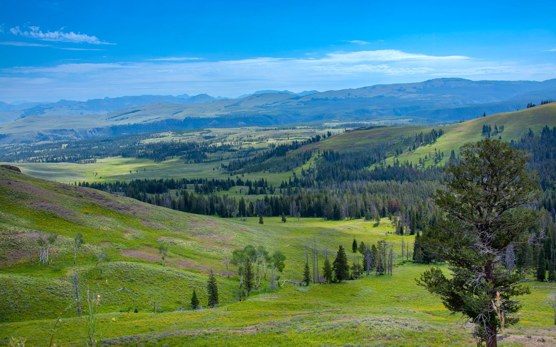 Wyoming Trip Cost and Budget in Wyoming