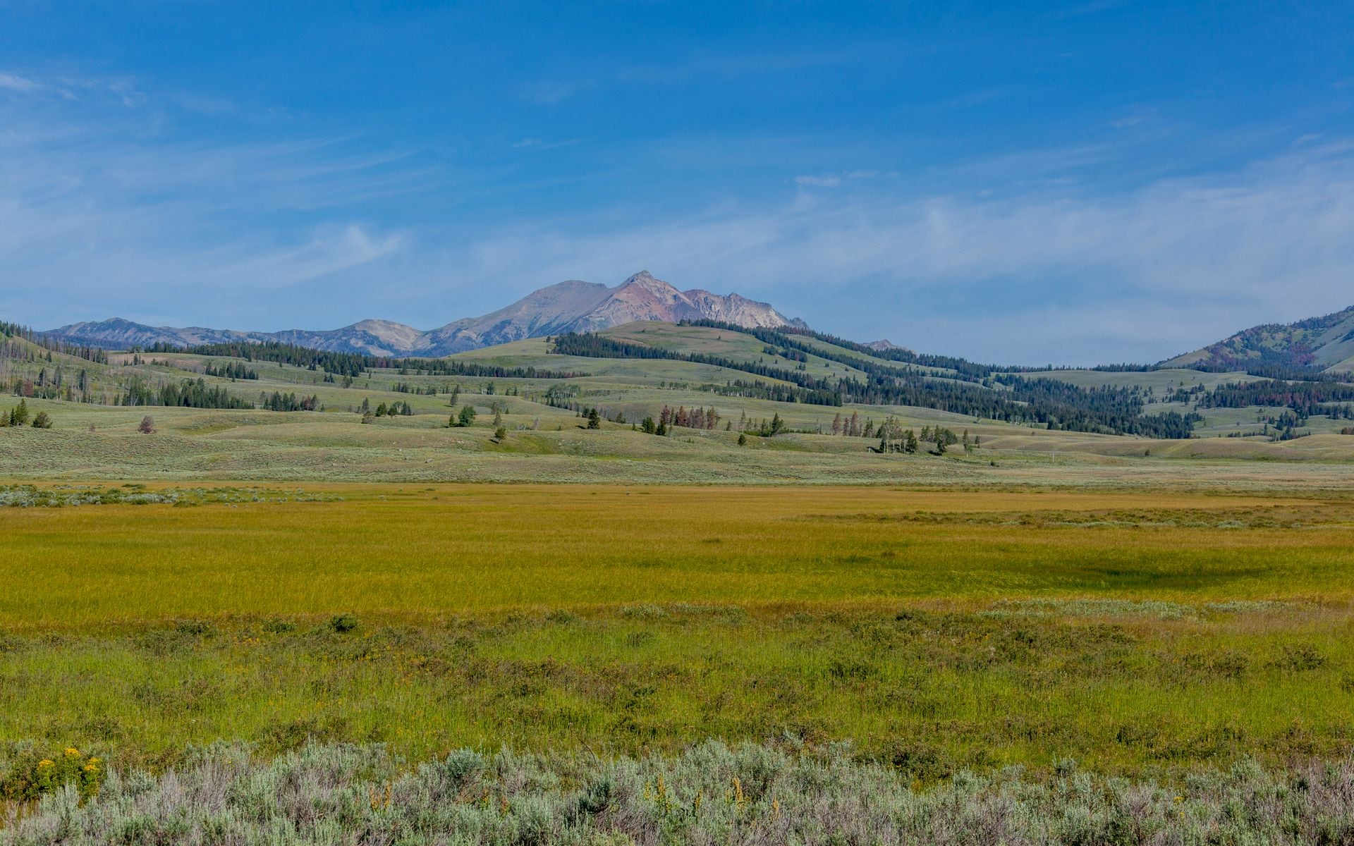 Yellowstone vs Grand Teton in Wyoming