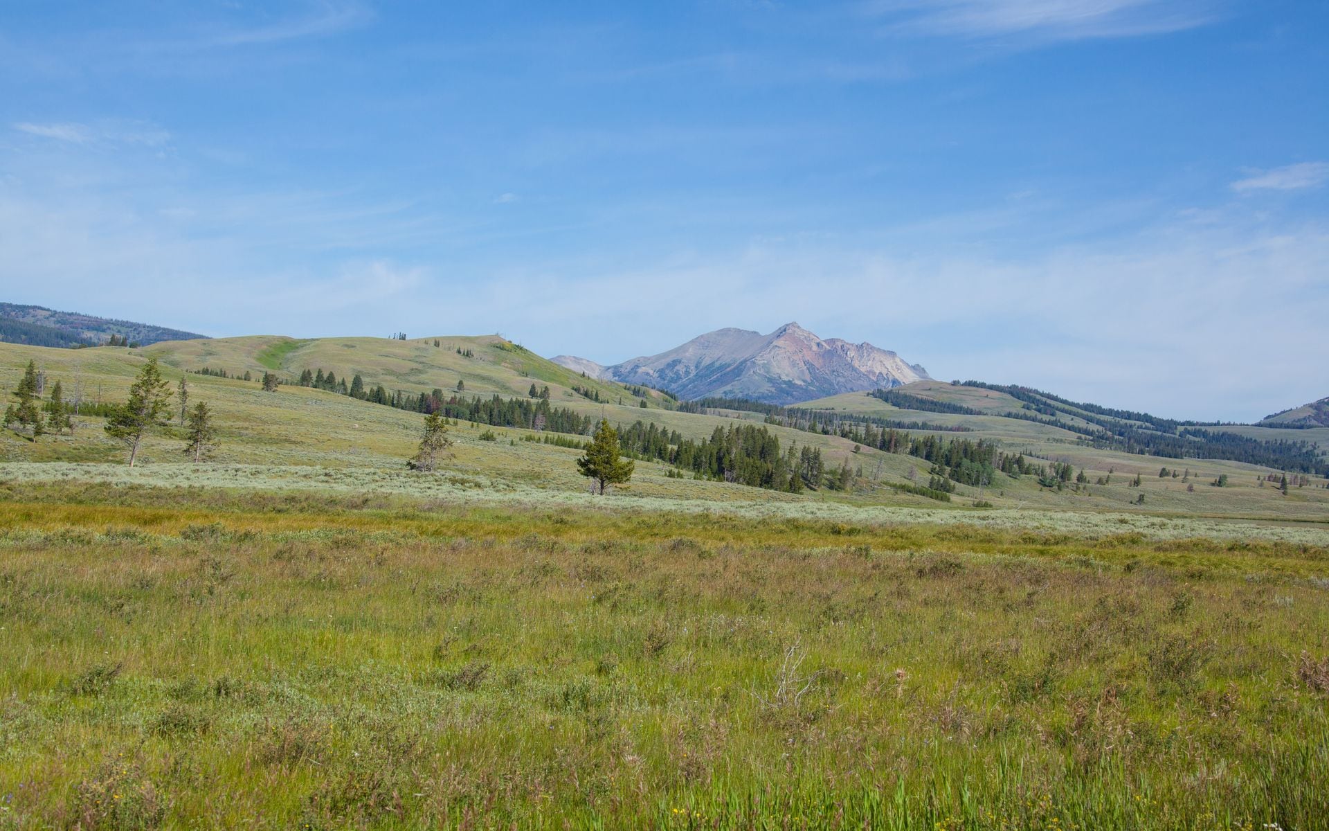 Cody & Yellowstone Country in Wyoming