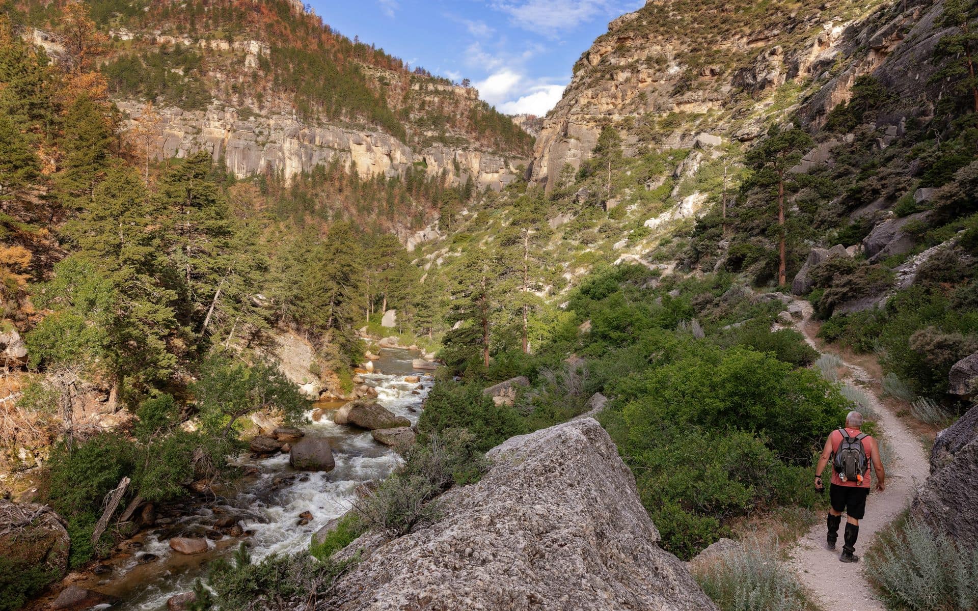 Sheridan & the Bighorns in Wyoming
