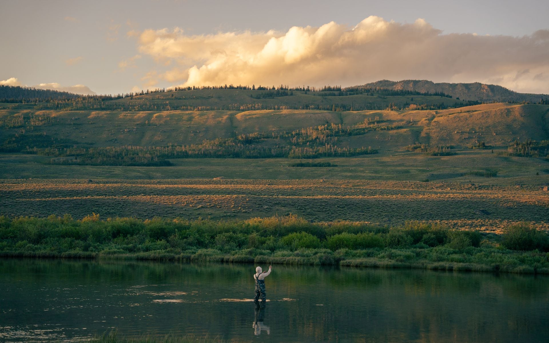 Fly Fishing in Wyoming